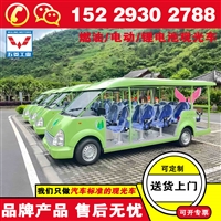 渭南五菱锂电池观光电动车