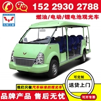 西安五菱锂电池观光电瓶车