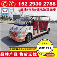 西安五菱锂电池观光车 观光电动车 座可选