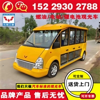 五菱车观光旅游车 观光车图片价格