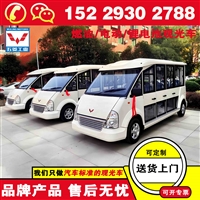 五菱磷酸铁锂电池观光车 座可选