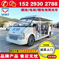 五菱电动观光游览车报价 旅游观光车什么牌子好