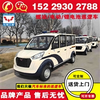 五菱磷酸铁锂巡逻车 适用于景区机场高铁站