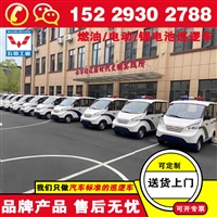 五菱电动巡逻车全封闭 多少钱买巡逻车