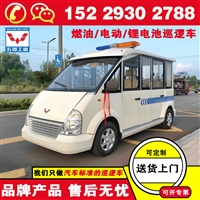 五菱带货斗巡逻车 可选封闭可拆卸车门及空调