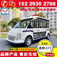 西安五菱磷酸铁锂巡逻车