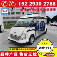 陕西商洛五菱带货斗巡逻车 巡检电瓶车 厂区油库LNG防爆巡检车