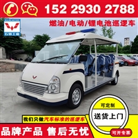 五菱锂电池巡逻车 汽车标准设计多年行业品牌