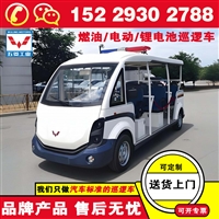 五菱全封闭电动巡逻车封闭 电动巡逻车品牌有哪些