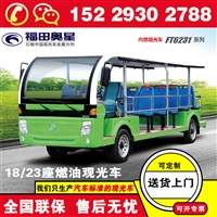 湖南长沙福田奥星电瓶观光游览车 观光电瓶车 操作简单灵活驾乘舒适
