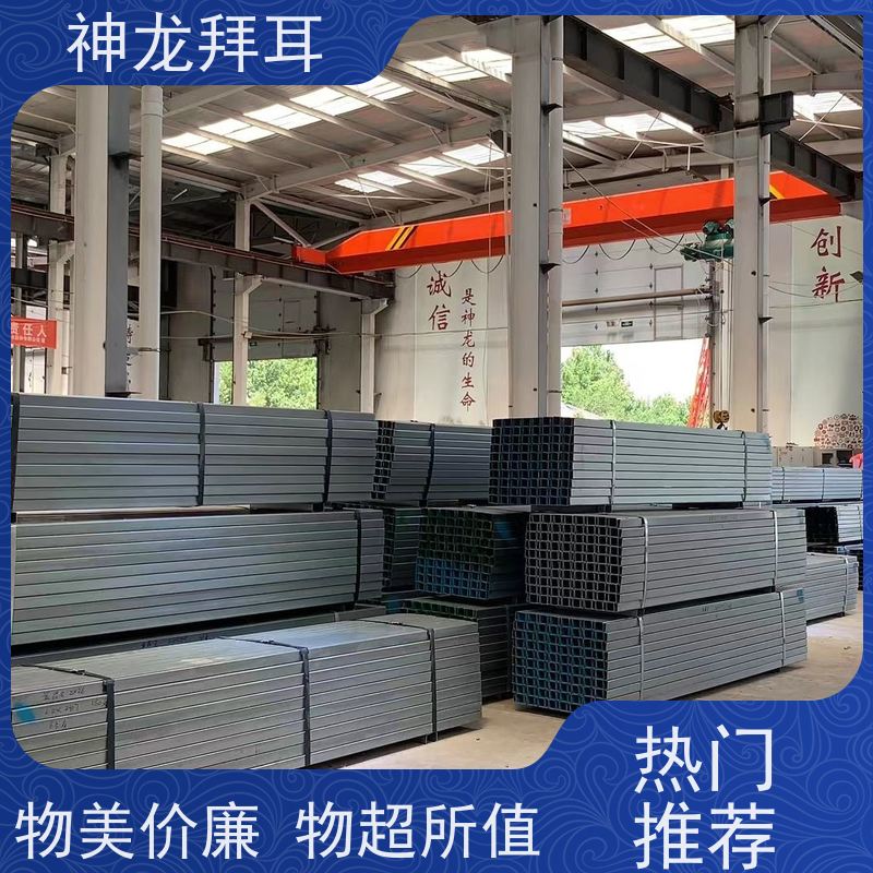 河北神龙拜耳 光伏支架基础施工 稳定可靠 厂