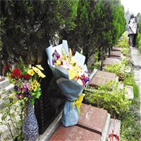 漳州市殡葬服务  漳州市殡仪馆花圈定购