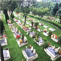 漳州龙海殡仪服务公司地址  漳州市殡仪馆花圈定购