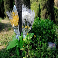 漳州南靖殡仪馆电话  漳州市殡仪馆花圈定购