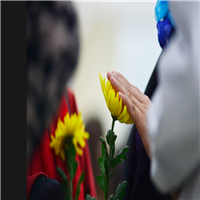 漳州诏安殡葬24小时服务  漳州市殡仪馆花圈定购