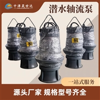 湖南  一体化泵站潜水轴流泵