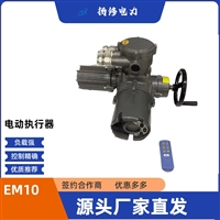 粉尘CT6隔爆型电装EM30多回转结构