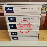 德国AKN绝缘轴承型号6220斜杠C3斜杠SQ77斜杠L237 轴承型号6004横杠2Z斜杠C3斜杠SQ400电机深沟球轴承