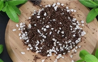 农林园艺用 珍珠岩 透气好 可做土壤改良剂 过滤剂、催化剂 育苗用