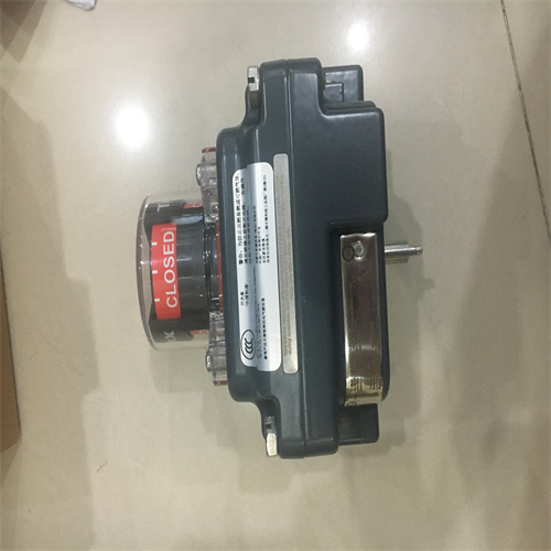 topworx限位开关TXP-P2CGLPM有备货