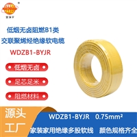 金环宇电线电缆 低烟无卤阻燃B1级电线WDZB1-BYJR 0.75平方软电线