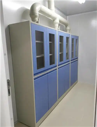 实验室器皿柜化学试剂储存柜
