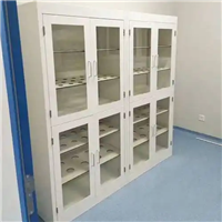 耐腐蚀实验室器皿柜
