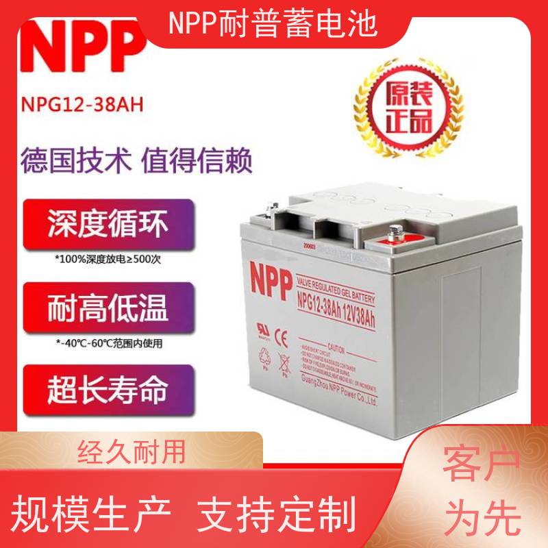 UPS电源电池 NPG12-100  适用EPS ups电源  维护保养