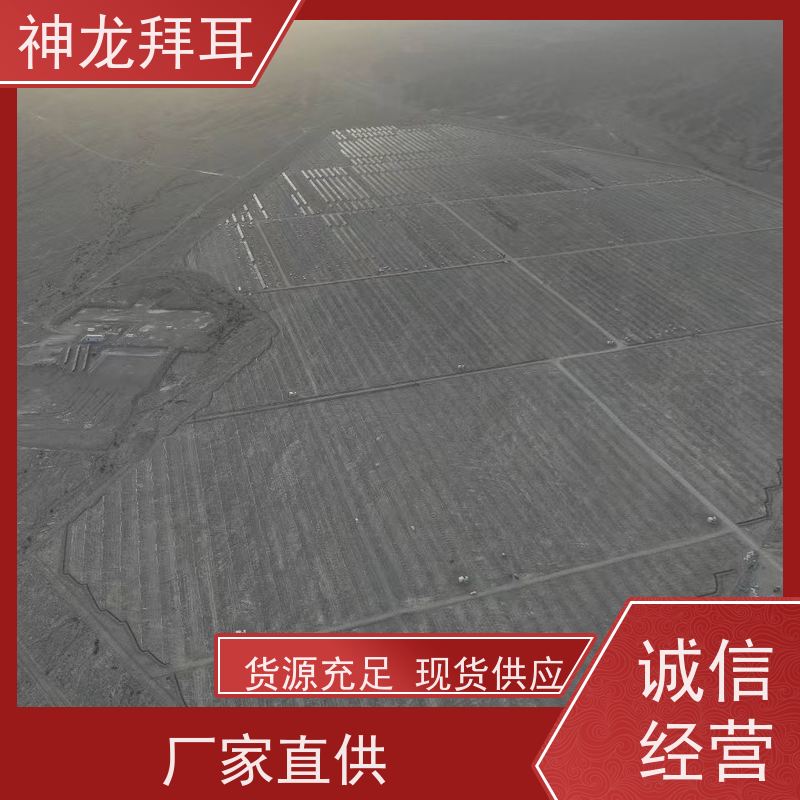 河北神龙拜耳 光伏支架研发 高纯度 厂家