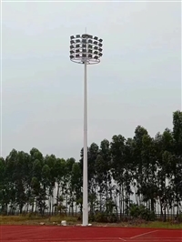 天津文化定制路灯定制 LED 路灯IP防护等级路灯定制工业园区路灯定制