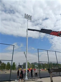 天津智慧路灯定制非标市政路灯定制低碳钢路灯杆定制商业街路灯定制