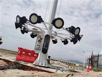 天津智慧路灯定制定制 LED 路灯远程监控路灯定制商业街路灯定制