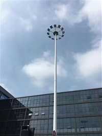天津文化定制路灯定制 LED 路灯IP防护等级路灯定制古建筑群路灯定制