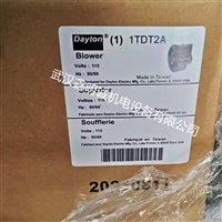 美国DAYTON 鼓风机 减速电机离心风机 直流电机马达1TDT2A