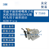 IMM AG36-F-o-p 离子吹风机顶部连接R36电极钨头用于扇形清洁