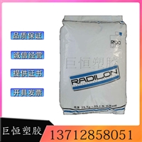 PA6 兰蒂奇 S ESL128 100 NT 注塑级 坚韧 耐磨损 尾灯罩 齿轮外罩