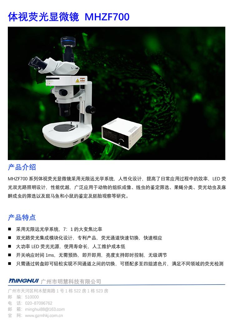 明慧 MHZF700 观察斑马鱼 荧光立体显微镜