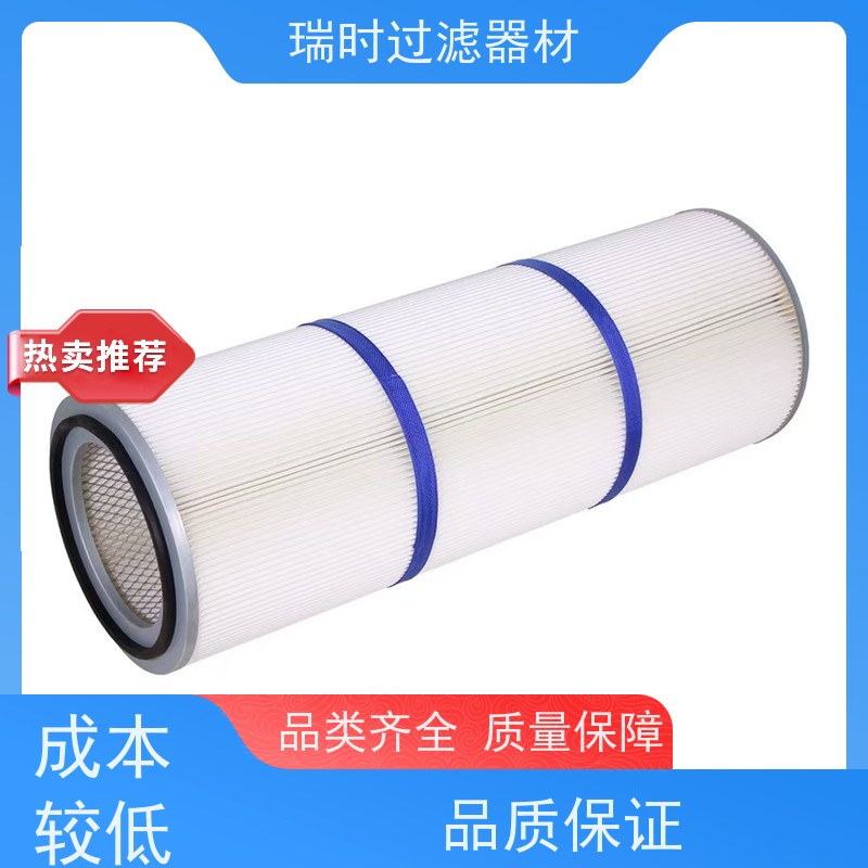 耐用除尘滤筒（除尘袋）瑞时化工厂专用 抗静电处理 聚四氟乙烯涂层