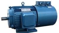 Cantoni交流电机2SIE90L2