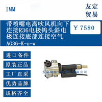 IMM AG36-K-u-w 带喷嘴电离吹风机向下连接R36电极钨头斜电极连接