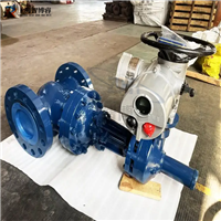 瑞基电动执行器