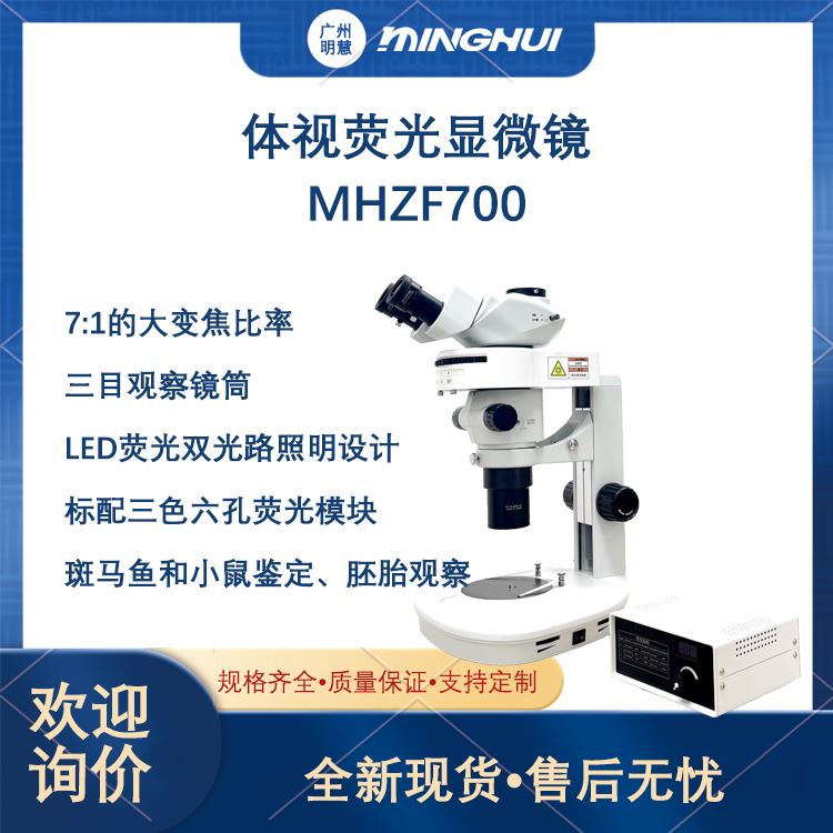 明慧 体视显微镜荧光 MHZF700 观察果蝇