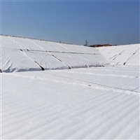 重庆600克防水土工布河道治理