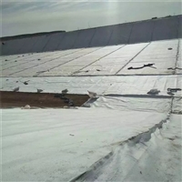 河北200/0.5/200防水土工布水库大坝