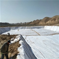 宜宾二布一膜600克水产养殖不透水土工布