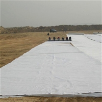 遂宁二布一膜900克农业水池防水土工布