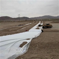 江苏两布一膜1500克鱼养殖塘防渗土工布