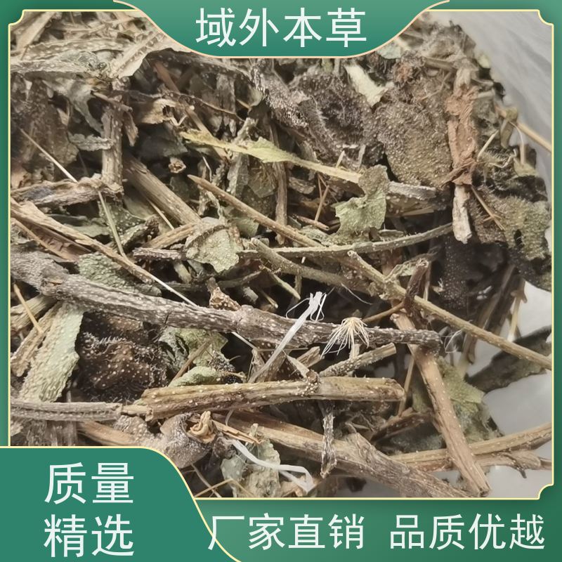 域外本草 牛舌草原料 中药材进口 常温 防潮 防虫储藏