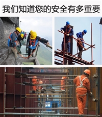 广州番禺双重管理机制服务机构费用