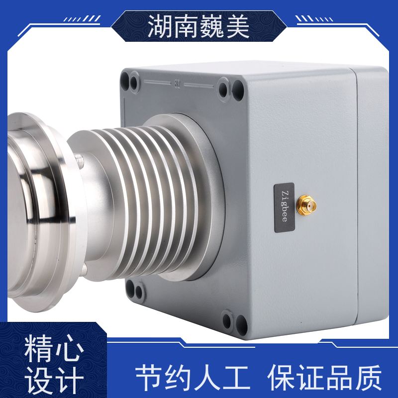 巍美 保证品质稳定 在线浓度计 多种规格可选 不锈钢探头